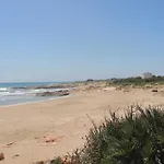 Paradise In Font Nova