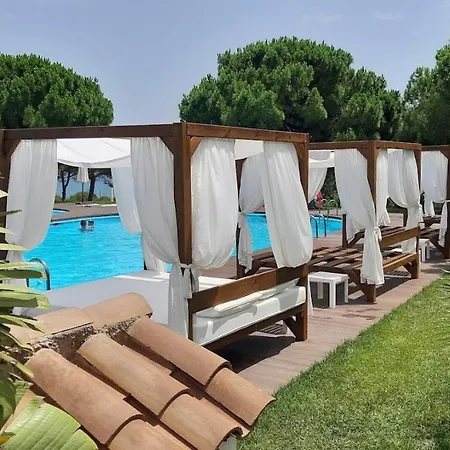 Paradise In Font Nova *