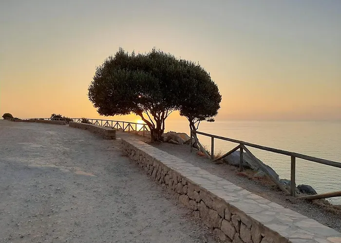 Paradise In Font Nova